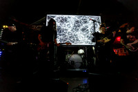 Frankie Rose in concert