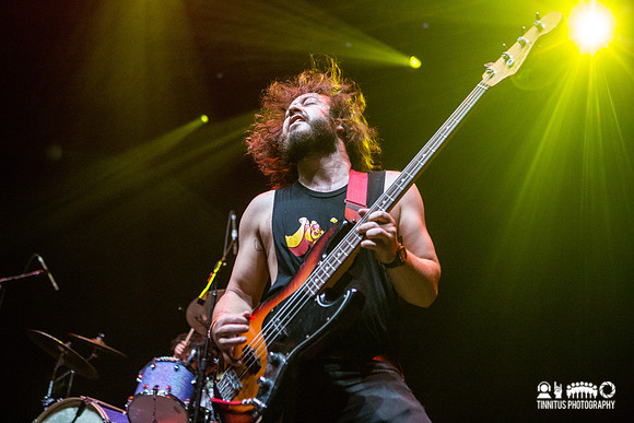 Elder in concert