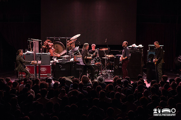Swans in concert