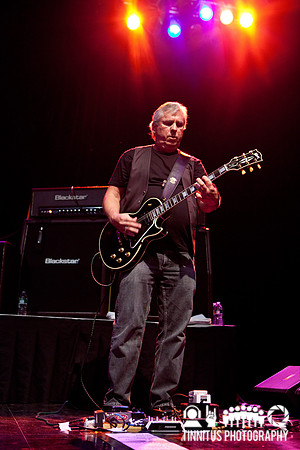 The Stooges in concert