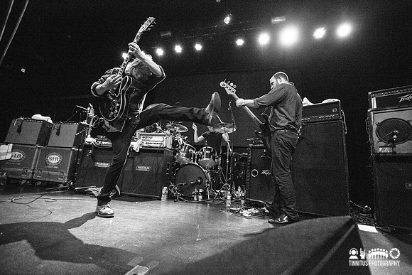 Swans in concert