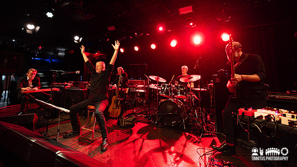 Swans in concert