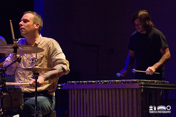 Tortoise in concert
