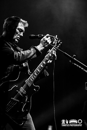 Queens of the Stone Age in concert