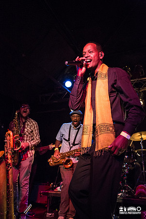 Debo Band in concert