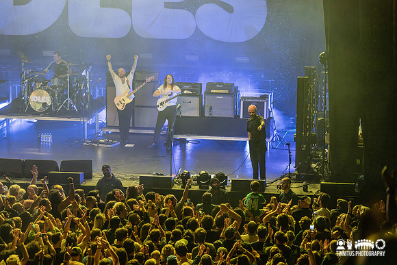 IDLES in concert