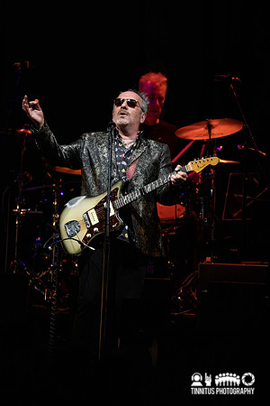 Elvis Costello and The Imposters in concert