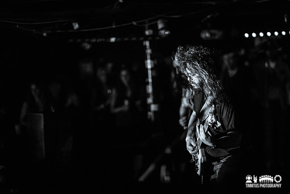 Elder in concert