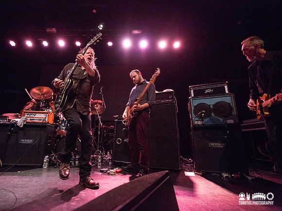 Swans in concert
