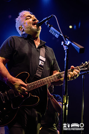 The Afghan Whigs in concert