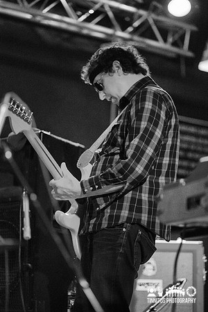 The Clean in concert