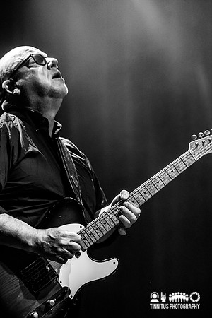 Frank Black in concert