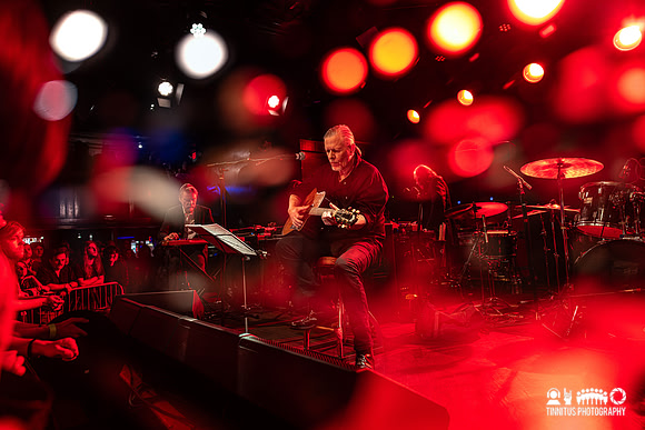 Swans in concert