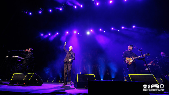 Devo in concert