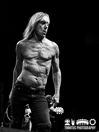 The Stooges in concert