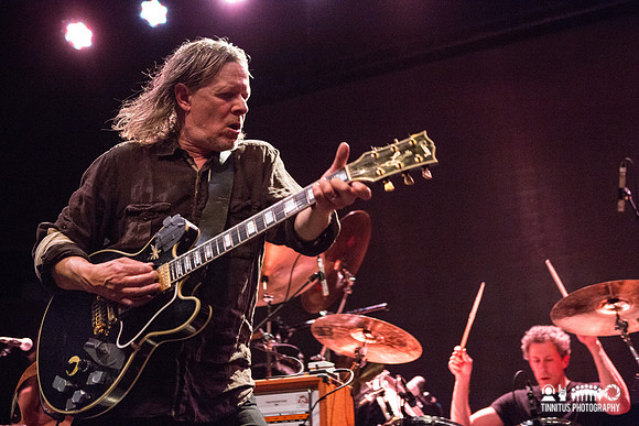 Swans in concert