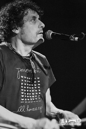 The Clean in concert
