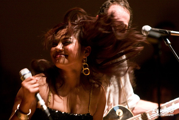 Dengue Fever in concert