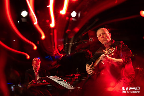 Swans in concert