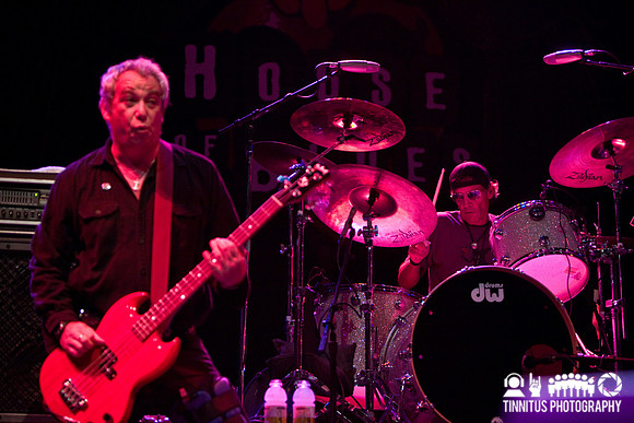 The Stooges in concert