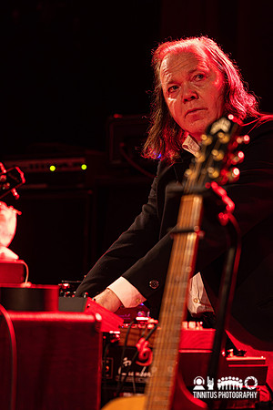 Swans in concert