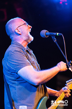 Bob Mould in concert