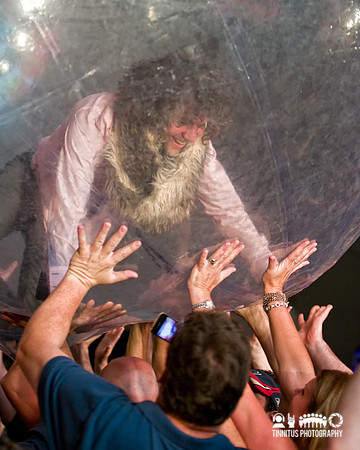The Flaming Lips in concert