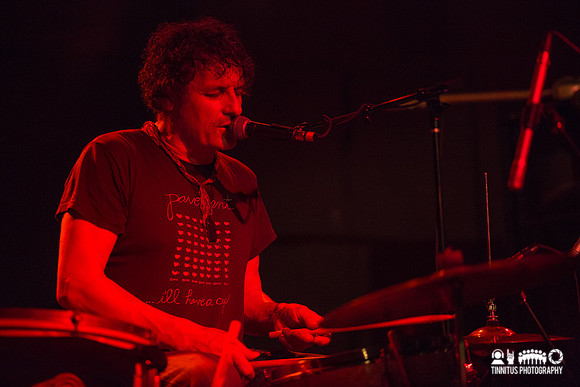 The Clean in concert
