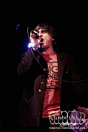 Mark Burgess in concert