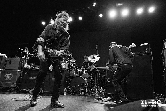 Swans in concert