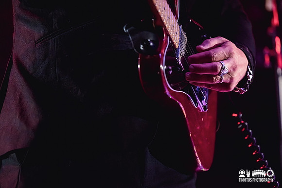Ed Harcourt in concert