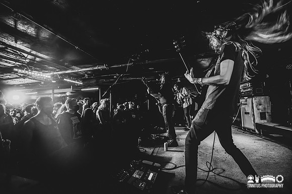 Elder in concert