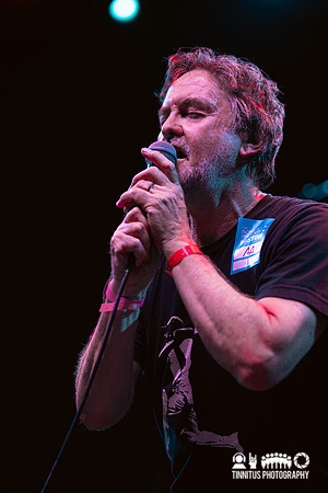 The Moles in concert