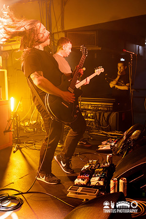 Pijn in concert