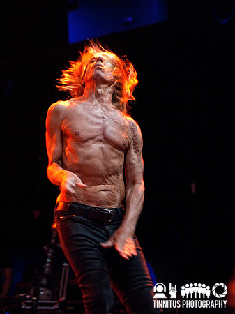 The Stooges in concert