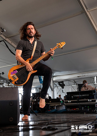 Dinosaur Jr. in concert