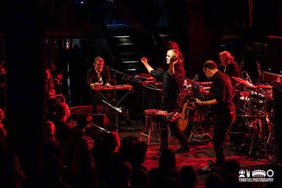 Swans in concert