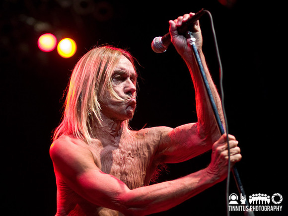The Stooges in concert