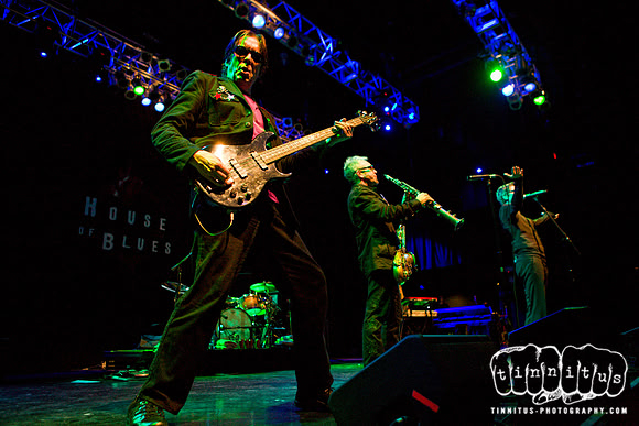 Psychedelic Furs in concert