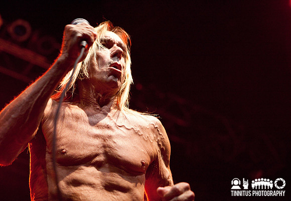 The Stooges in concert