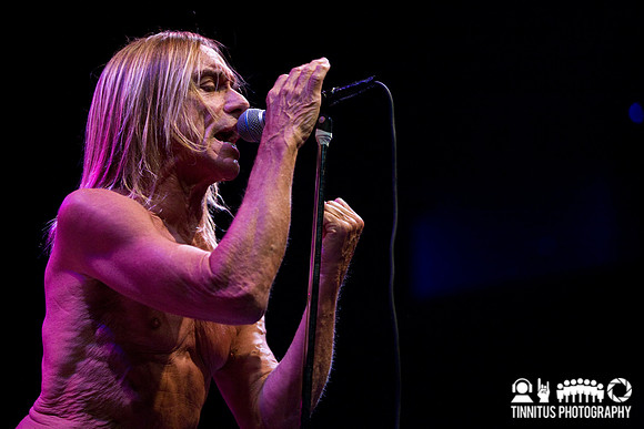 The Stooges in concert