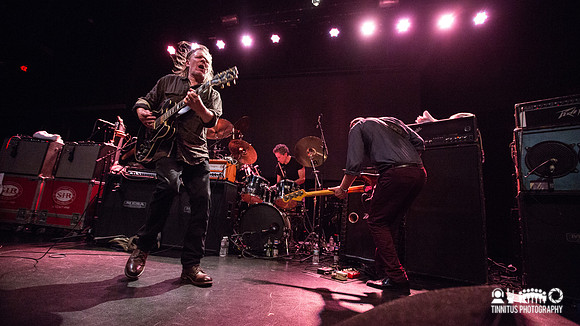 Swans in concert