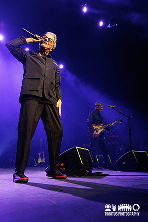 Devo in concert