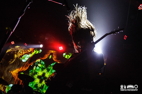 Elder in concert