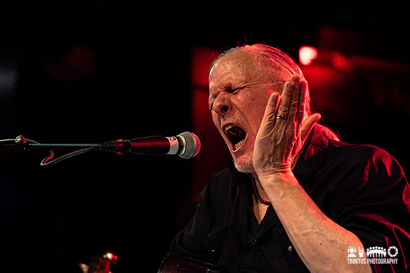 Swans in concert