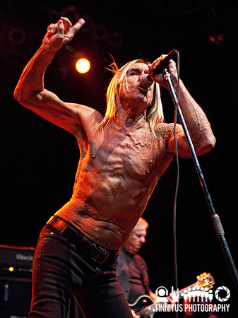 The Stooges in concert