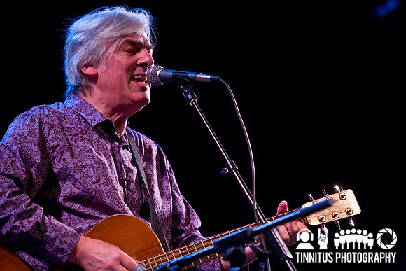 Robyn Hitchcock in concert