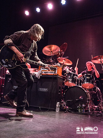 Swans in concert