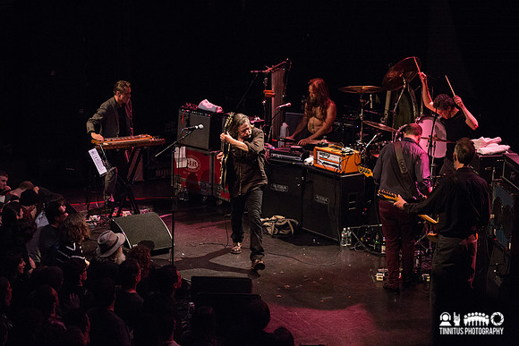 Swans in concert