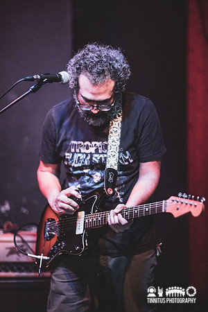 Osmia in concert
